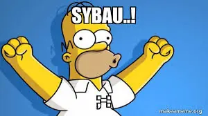 SYBAU picture showing unimpressed reaction